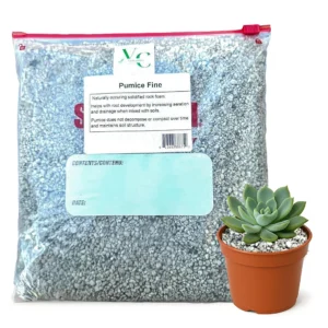 Premium Fine Pumice for Plants