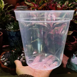 Clear Nursery Pots 6 pcs 7 inch Transparent Plant pots with Drainage, Seeding pots, Orchid pots