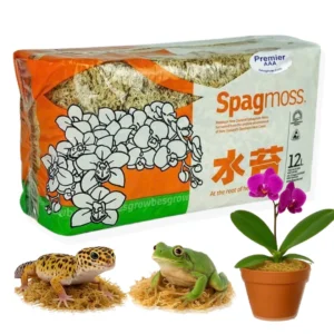 Sphagnum Moss New Zealand AAA