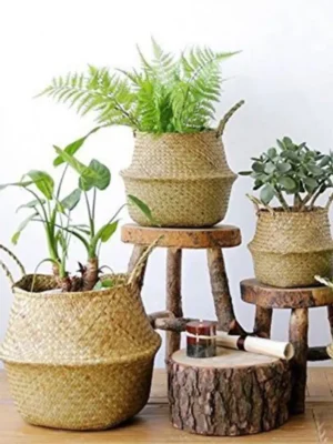 Handwoven Seagrass Round Basket with Handles