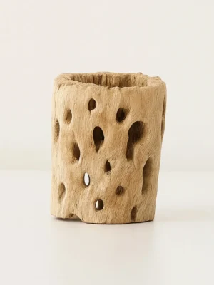 Cholla Wood 5" x 3-4", Air Plant Cholla Wood Holder