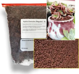 2L Hydroponic Clay Pellets - Small Size (Regular) for Soil Mix, Optimal Drainage & Aeration - Expanded Clay Aggregate for Gardening