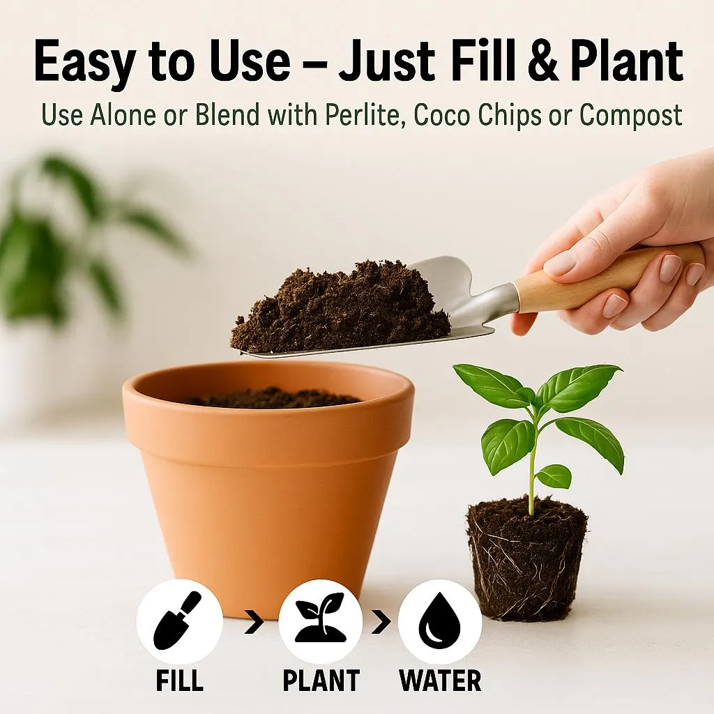 il_fullxfull.7001234261_3w3f