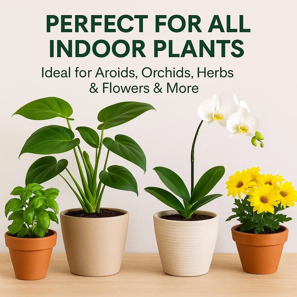 il_fullxfull.7001234265_c1z4