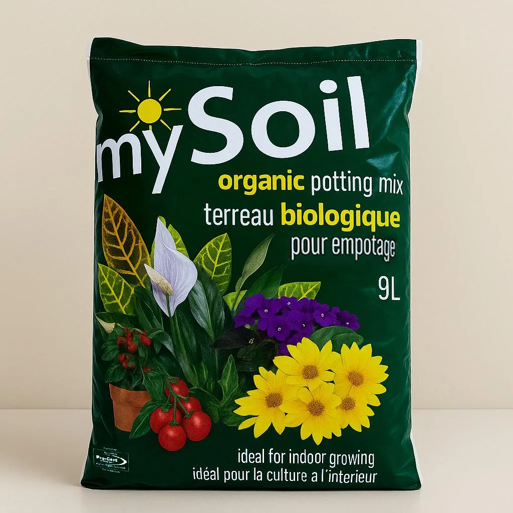 il_fullxfull.7001320875_km6p